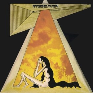 Trocarn