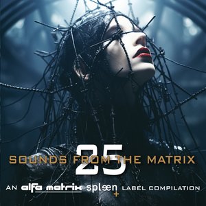 Sounds From The Matrix 25