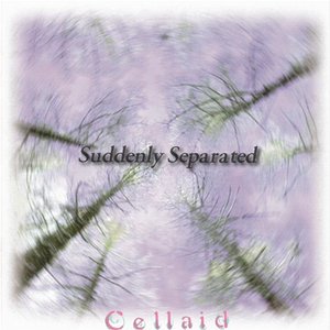 Suddenly Separated