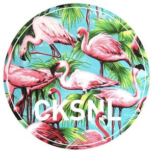 Avatar for CKSNL