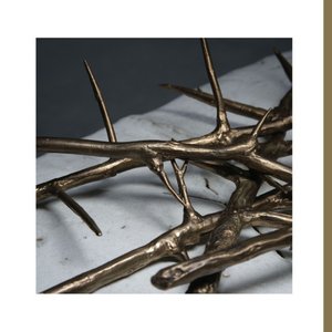 De Doorn (Alternate Mix)