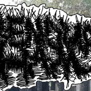 Bendur Ham 的头像