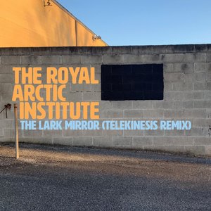 The Lark Mirror (Telekinesis Remix)