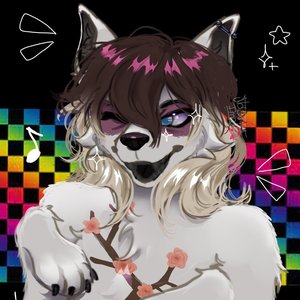 Avatar for salv the dog