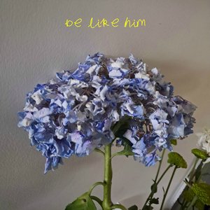 Be Like Him 的头像