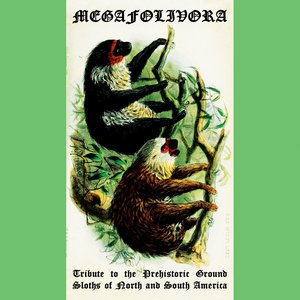 Tribute to the Prehistoric Ground Sloths of North and South America