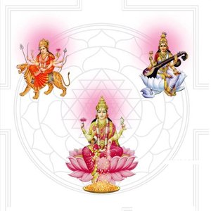 Amruthavarsha 的头像