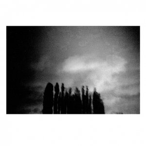 Arbres Nocturnes