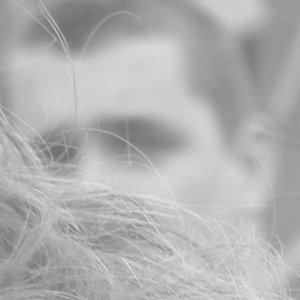 Avatar for flower of flesh and blood