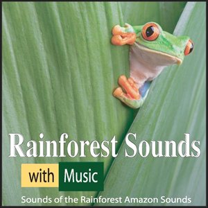 Rainforest Sounds With Music: Sounds of the Rainforest Amazon Sounds