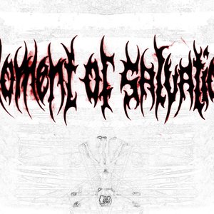 Avatar for MOMENT OF SALVATION