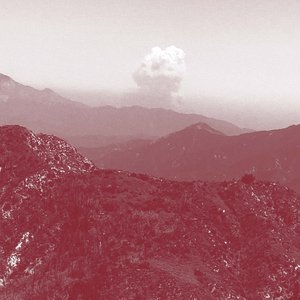 I Watched The World Burn Without Leaving My Home