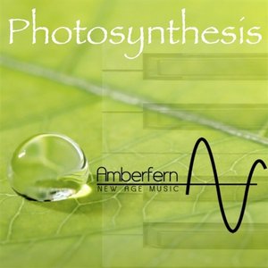 Photosynthesis