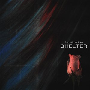 Shelter