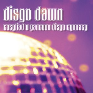 Disco Dawn