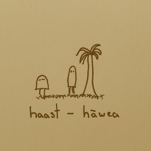 haast - hāwea 的头像
