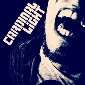 Cardinal Light 的头像