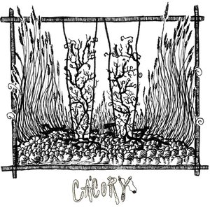 Cácory 的头像