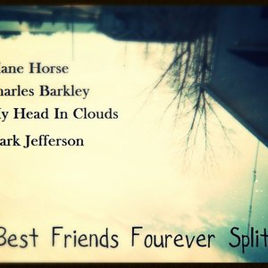 “Best Friends Fourever Split”的封面