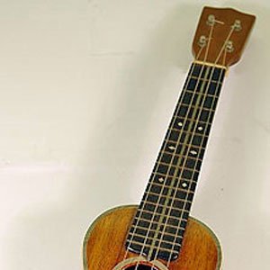 Avatar de The Ukuleles of Halifax