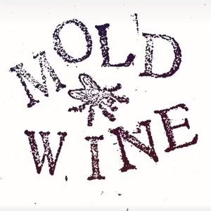Mold Wine 的头像