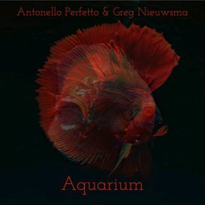 Aquarium