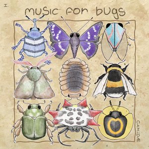 Image pour 'music for bugs'