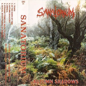Autumn shadows