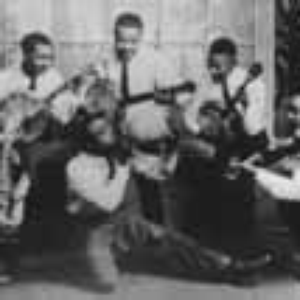 Dixieland Jug Blowers photo provided by Last.fm