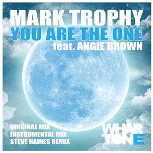 You Are The One (feat. Angie Brown)