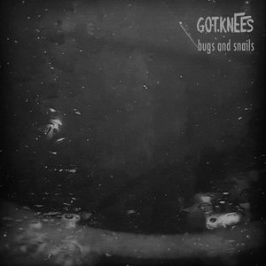 Bugs and Snails