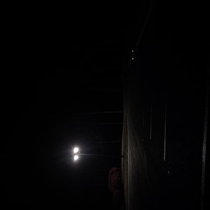 rllychill 的头像