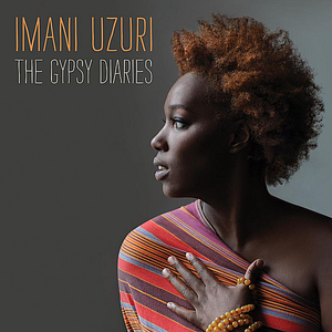 The Gypsy Diaries cover