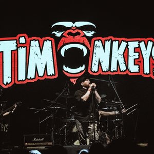 TiMonkeys 的头像