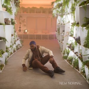 New Normal - Single
