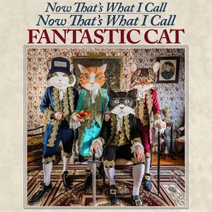 Now That's What I Call Now That's What I Call Fantastic Cat (Deluxe Edition)
