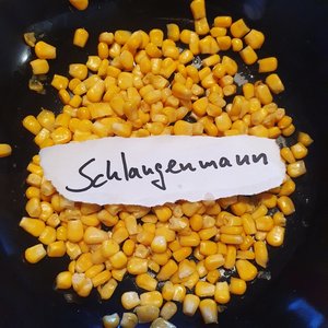 Schlangenmann