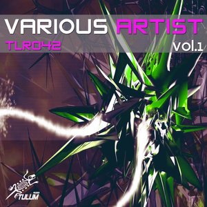 Various Artist, Vol. 1