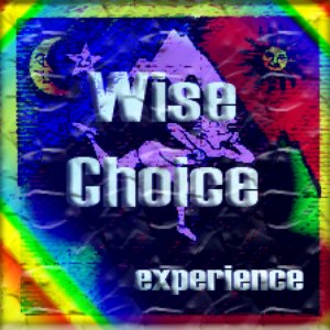 Wise Choice 的头像
