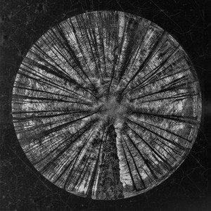 Disease of the Groom (Soma Outtake)