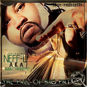 The Fall of Bug Ent