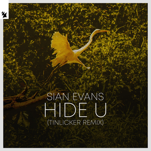 Artwork for HIDE U (TINLICKER EXTENDED REMIX)