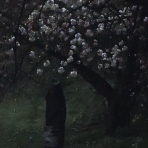 NIGHTS LIKE THIS PT 2 (Ambient Demo Version)