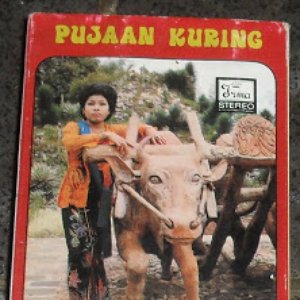 aseng suarsih 的头像