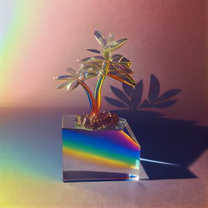 Holographic Oasis