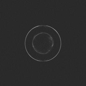 In the Blood - Single