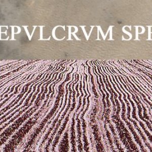 Sepulcrum Spei 的头像