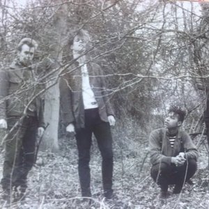 Avatar di The Great Garden