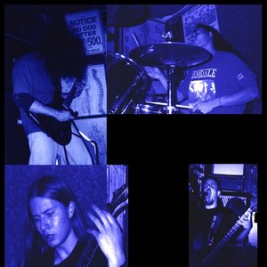 Cardiovascular Sub-Hypothermia 的头像