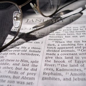 The New Testament 的头像
